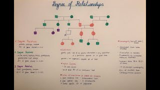 degree of relation coefficient of relation consanguinity [upl. by Zebulen]