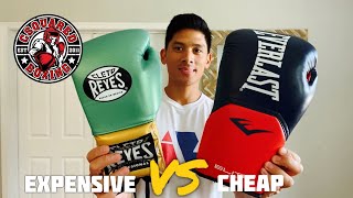 EXPENSIVE Boxing Gloves VS CHEAP Boxing Gloves DO YOU GET WHAT YOU PAY FOR [upl. by Ddarb]