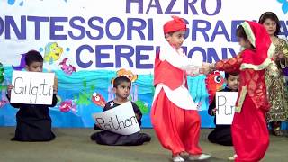 Pakistans Culture and Folk Songs by Bahria Foundation School amp College HAZRO Campus  PAKISTAN [upl. by Uticas]