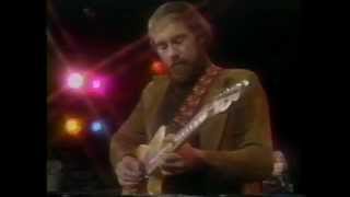 roy buchanan  live  blues [upl. by Nomannic343]